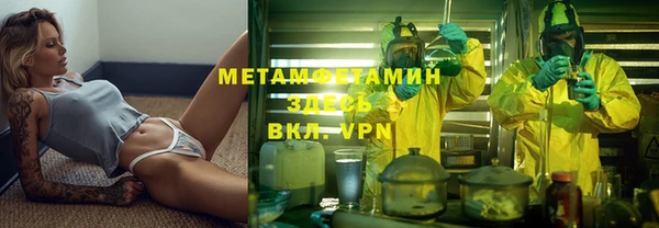 индика Алексин