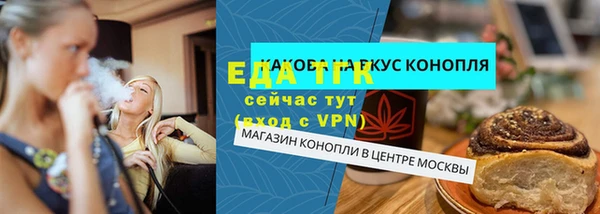 индика Алексин