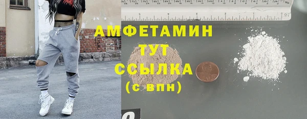 гашик Алексеевка