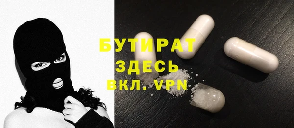 индика Алексин