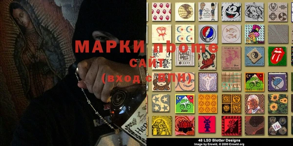 индика Алексин