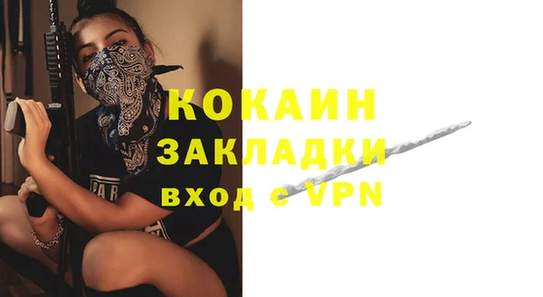 индика Алексин