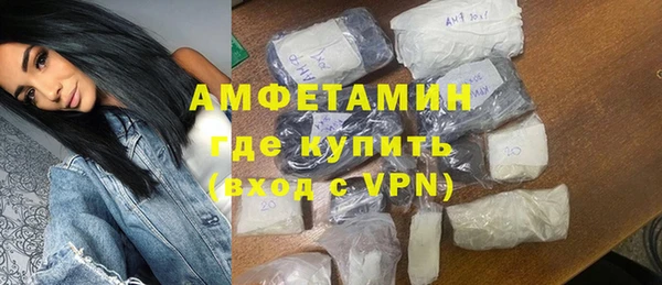 индика Алексин