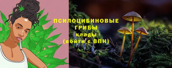 гашик Алексеевка