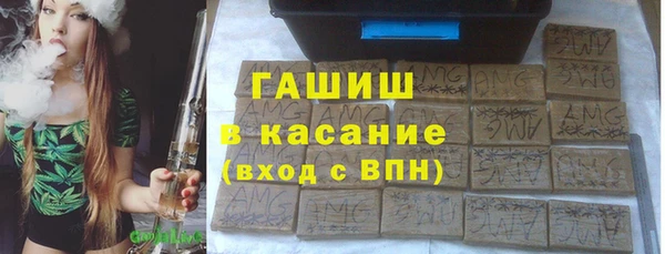 индика Алексин