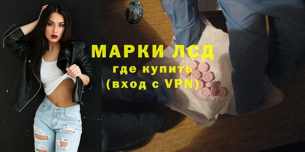 индика Алексин